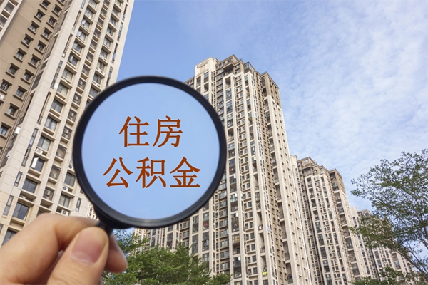 沛县去年11月提的公积金今年几月（去年12月提的公积金今年几月可以提）